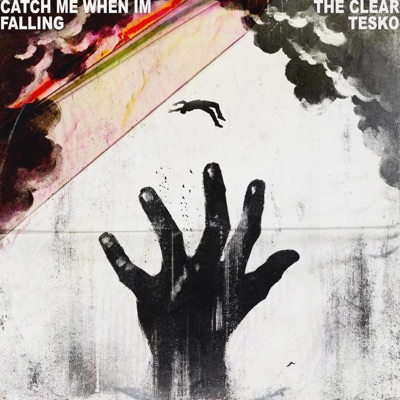 Catch Me When Im Falling (feat. Tesko) - Single