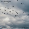 For the Birds - Single