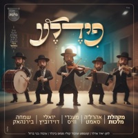 פידלע (feat. mendy weiss, שמחה בירנהאק & Ahrele Samet) - Single - יואלי דוידוביץ