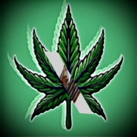 MEDICATE (feat. Yung SSUENO) - Single - JD $tormz