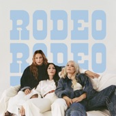 Ensimmäinen rodeo artwork