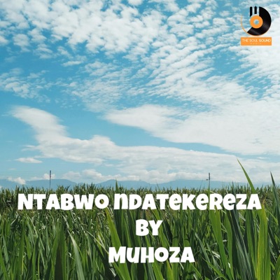 Ntabwo ndatekereza (feat. Muhoza) - Single