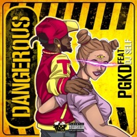 Dangerous (feat. DJ SELF) - Single - PGKD