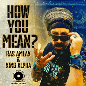 How You Mean - Single