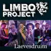 Laevesdruim