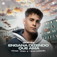 Engana Dizendo que Ama - Single - Igor Bz