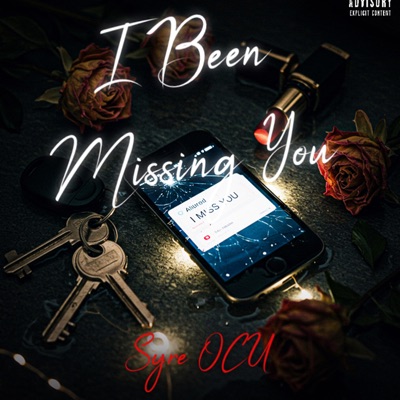I Been Missing You - Single