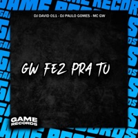 Gw Fez Pra TU - Single - Dj David 011, DJ Paulo Gomes & Mc Gw