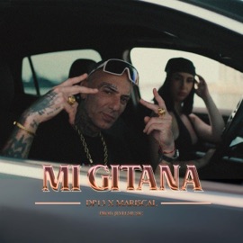 Mi Gitana (feat. Mariscal) DP 13