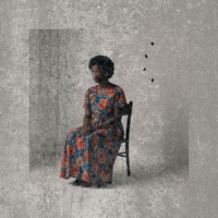 Bug Swatter - Single - Halric