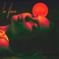 La Flaca - Single - Chris DLB