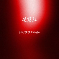 失落红 - Single - pro & 怪怪Zziaga