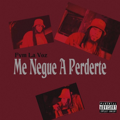 Me Negue A Perderte (feat. Raidy El Productor Del Futuro) - Single