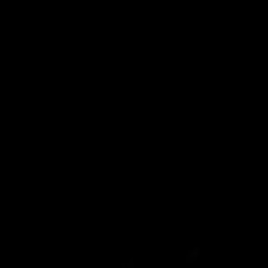INTRO