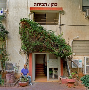 שקרים לבנים