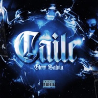 Caile - Single - Glow Salvia