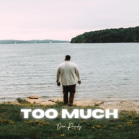 Too Much - Single - Don Ready