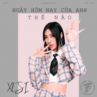 Ngày Hôm Nay Của Anh Thế Nào - Single