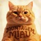 MONTAGEM MIAU artwork
