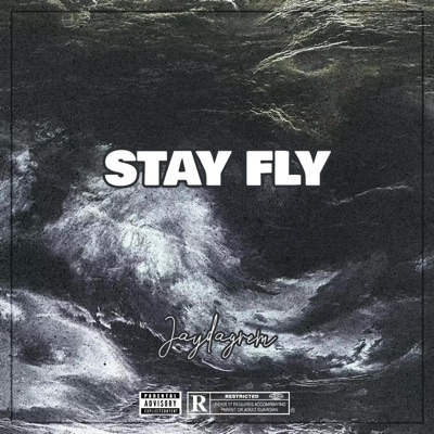 Stay Fly (feat. abev) - Single
