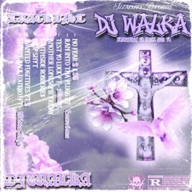 Ran Into Tha Plugg (feat. LEAVESANE) DJ WALKA
