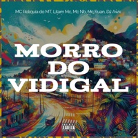 Morro do Vidigal (feat. DJ Awk & Mc Ruan) - Single - MC Relíquia do MT, Litam MC & Mc NB