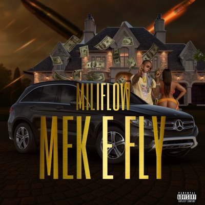Mek E Fly - Single