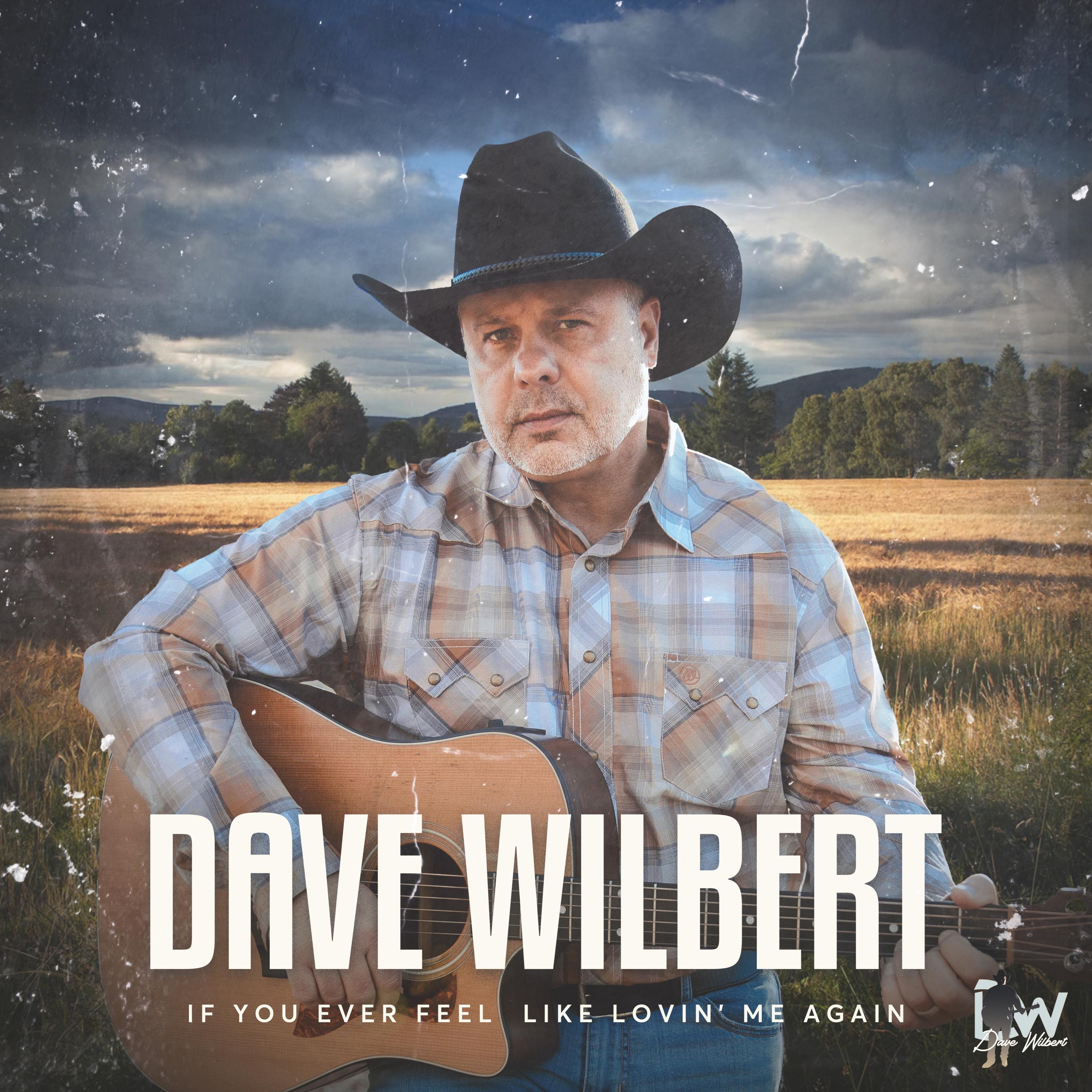 If You Ever Feel Like Lovin' Me Again - Single