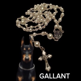 Down to Ride? Mercy888