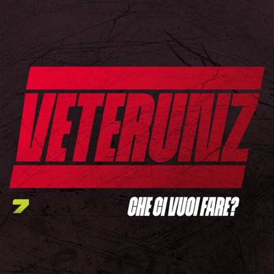 Che ci vuoi fare? - Single