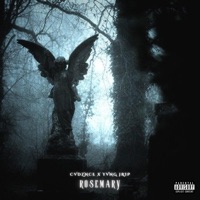 Rosemary (feat. YVNG JRIP) - Single - cvdznce