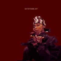 SAY MY NAME, OK? (feat. Sheefy Mcfly) - Single - JEANINE STYLES