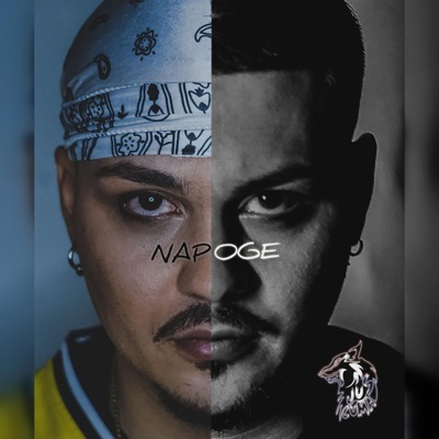 Napoge (A.N.S) - Single