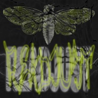 Readjust - Single - p1x