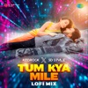 Tum Kya Mile (LoFi Mix) - Single