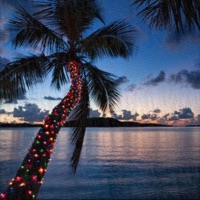 Coquito en un pesebre - Single - Wisco