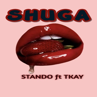 SHUGA (feat. Tkay) - Single