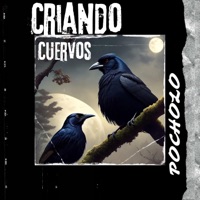 Criando cuervos - Single - Pocholo
