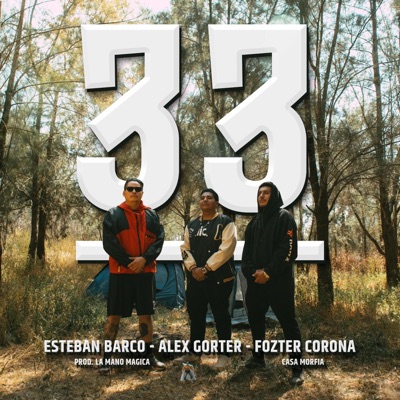 33 (feat. Fozter Corona & Alex Gorter) - Single