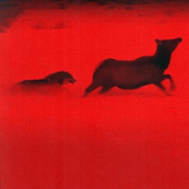 Relief (feat. Cesar) JB