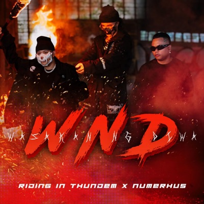 RIDING IN THUNDEM - WND (feat. Numerhus) - Single