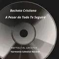 A PESAR DE TODO TE SEGUIRÉ