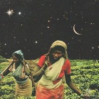 Sarnath - Single - earfluvv, FlyingTengu & The Retune Project
