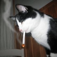 secrets - Single - elyzn