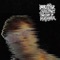 Go Harry - Darko the Super & Yuri Beats lyrics