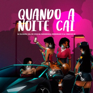 Quando A Noite Cai (feat. dj vinicius sc)