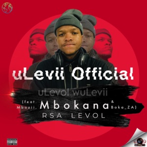 Ulevii Official (feat. Mbokana, Boka_ZA & Mbozii)
