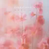Maeve Everbrook - Every Step Matters