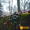 ExitStairs - Seedlings