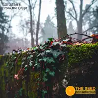 Seedlings — ExitStairs
